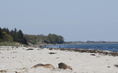 Bridgette - 100M from the Sea