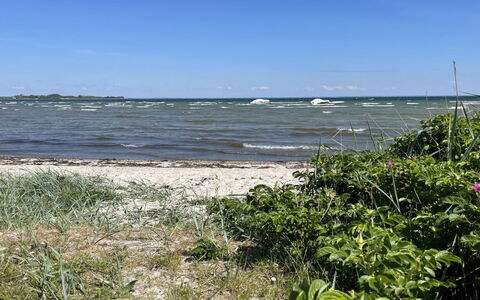 Ely - 300M from the Sea: Blue, Water, Body Of Water, Water Resources, Natural Environment, Coast, Coastal And Oceanic Landforms, Summer, Sea