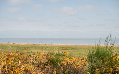 Duschanka - 50M to the Fjord: Plant Community, Sunlight, Herbaceous Plant, Garden, Plantation, Agriculture, Farm