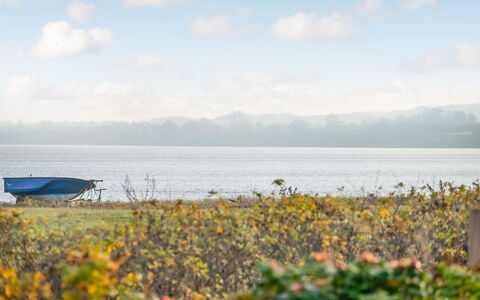 Duschanka - 50M to the Fjord: Plant Community, Sunlight, Herbaceous Plant, Garden, Plantation, Agriculture, Farm
