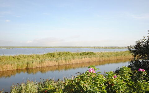 Leocadia - 150M to the Fjord: 