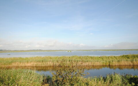 Leocadia - 150M to the Fjord: 