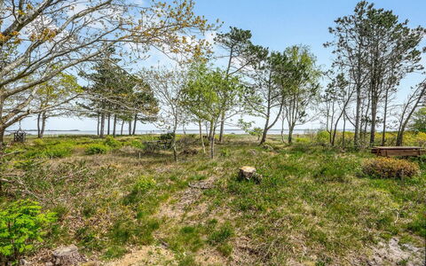 Angelita - 80M to the Fjord: Home, Residential Area, House, Cottage, Roof, Land Lot, Siding, Garden, Estate, Lawn