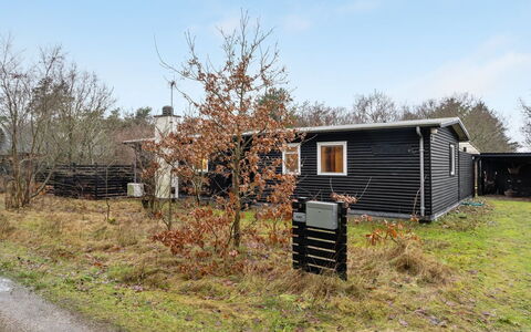 Akke - 150M to the Fjord: Plant Community, Sunlight, Herbaceous Plant, Garden, Plantation, Agriculture, Farm