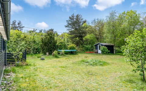 Akke - 150M to the Fjord: Plant Community, Sunlight, Herbaceous Plant, Garden, Plantation, Agriculture, Farm