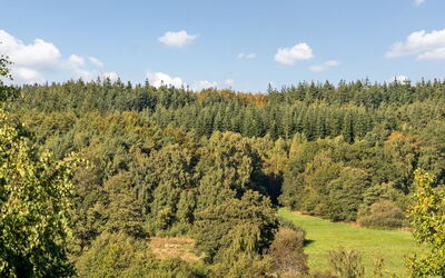 Merja - 3Km from the Sea