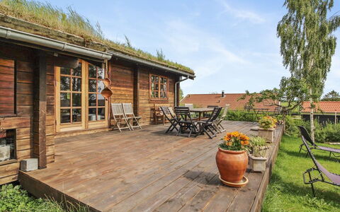 Kersta - 400M from the Sea: Plant Community, Sunlight, Herbaceous Plant, Garden, Plantation, Agriculture, Farm