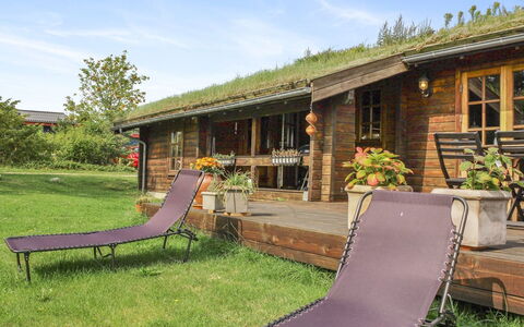 Kersta - 400M from the Sea: Plant Community, Sunlight, Herbaceous Plant, Garden, Plantation, Agriculture, Farm