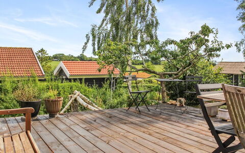 Kersta - 400M from the Sea: Plant Community, Sunlight, Herbaceous Plant, Garden, Plantation, Agriculture, Farm