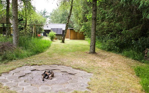 Hildegarda - 1Km from the Sea: Plant Community, Sunlight, Herbaceous Plant, Garden, Plantation, Agriculture, Farm