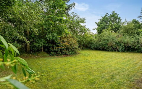 Raya - 250M from the Sea: Green, Grass, Grassland, Shrub, Summer, Plain, Land Lot, Garden, Meadow