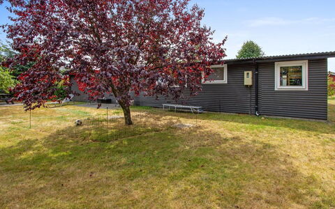 Svend - 1.5Km from the Sea: Groundcover, Spring, Lawn, Yard, Garden, Backyard, Park