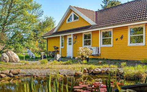Annestine - 200M from the Sea: Plant Community, Sunlight, Herbaceous Plant, Garden, Plantation, Agriculture, Farm