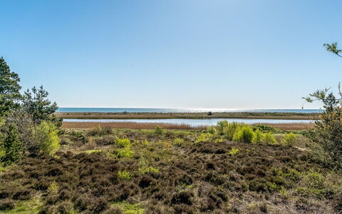 Annestine - 200M from the Sea: Plant Community, Sunlight, Herbaceous Plant, Garden, Plantation, Agriculture, Farm
