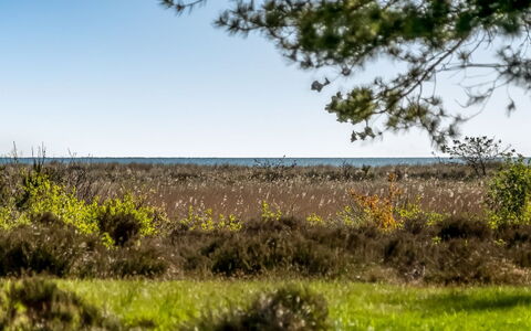 Annestine - 200M from the Sea: Plant Community, Sunlight, Herbaceous Plant, Garden, Plantation, Agriculture, Farm
