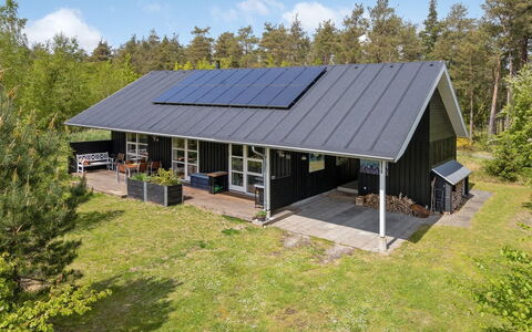 Berta - 300M from the Sea: Plant Community, Sunlight, Herbaceous Plant, Garden, Plantation, Agriculture, Farm