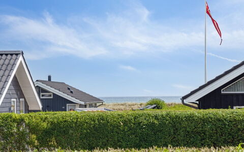 Gertrud - from the Sea: Plant Community, Sunlight, Herbaceous Plant, Garden, Plantation, Agriculture, Farm