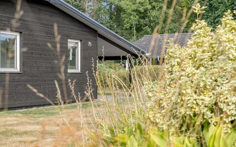 Sveina - 600M from the Sea: House, Shrub, Home, Cottage, Siding, Groundcover, Garden Buildings, Garden, Backyard, Yard