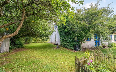 Agrippa - 30M to the Fjord: Branch, Shrub, Garden, Cottage, Twig, Groundcover, Lawn, Sunlight, Backyard, Yard