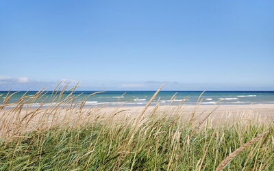 Deni - 4Km from the Sea
