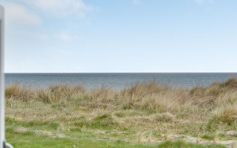 Adina - 50M from the Sea: Plant Community, Sunlight, Herbaceous Plant, Garden, Plantation, Agriculture, Farm
