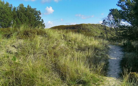 Lewe - 150M from the Sea: Blue, Shrub, Cottage, Groundcover, Garden, Estate, Shade, Landscaping, Farmhouse, Eco Hotel