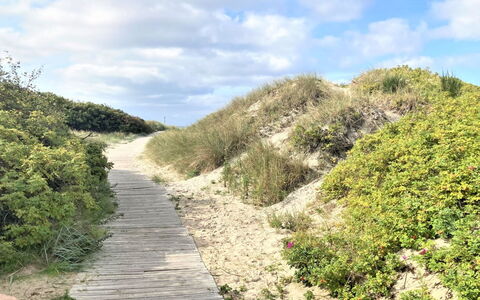 Kustaa - 1Km from the Sea: Grass, Grassland, Landscape, Ecoregion, Plain, Plant Community, Land Lot, Outdoor Furniture, Prairie, Shrubland