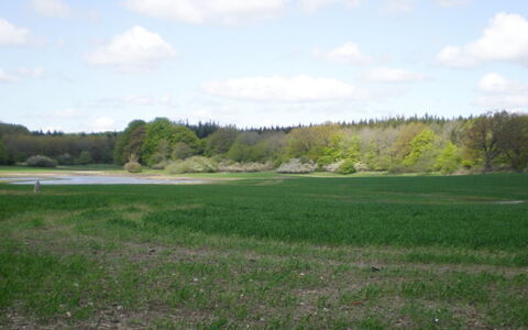 Thia - 4Km to the Fjord: Residential Area, Roof, Suburb, Driveway, Estate, Chimney
