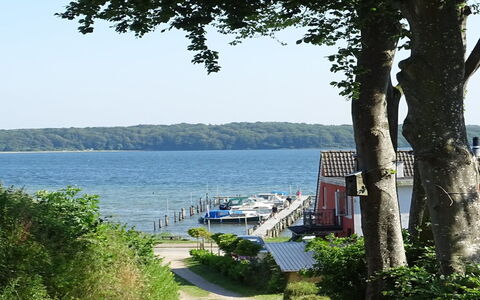 Veselin - 100M from the Sea: Wood, Roof, Architecture, Home, House, Cottage, Siding, Hardwood, Slope, Estate
