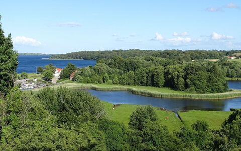 Veselin - 100M from the Sea: Wood, Roof, Architecture, Home, House, Cottage, Siding, Hardwood, Slope, Estate