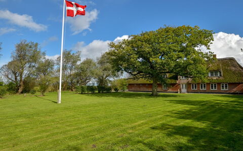 Knut - 10Km from the Sea: Wood, Wood Stain, Plank, Hardwood, Cottage, Deck, Siding, Shade, Wood Flooring, Garden Buildings