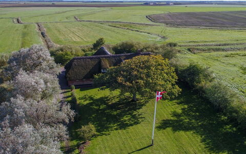 Knut - 10Km from the Sea: Wood, Wood Stain, Plank, Hardwood, Cottage, Deck, Siding, Shade, Wood Flooring, Garden Buildings