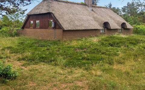 Ilva - 300M to the Fjord: House, Home, Residential Area, Roof, Cottage, Land Lot, Estate, Yard, Garden, Siding