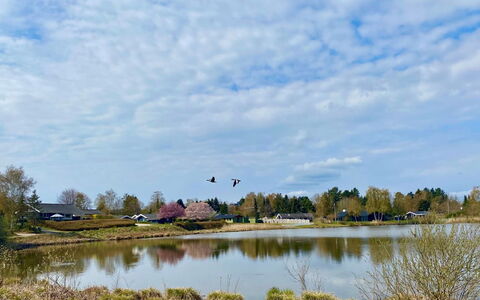 Athisl - 800M from the Sea: Water, Water Resources, Natural Environment, Nature, Natural Landscape, Bank, Watercourse, Marsh, Reflection