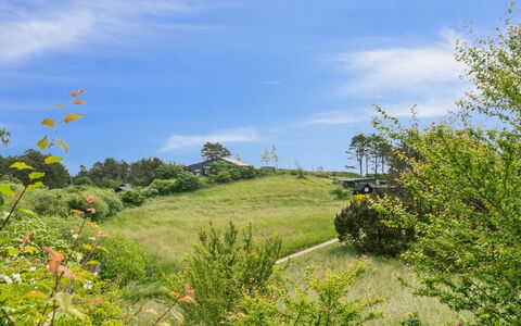 Arntraud - 250M from the Sea: Grass, Grassland, Land Lot, Cottage, Rural Area, Meadow, Garden Buildings, Garden, Shed