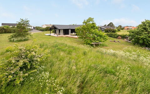 Siebelt - 200M from the Sea: Green, Grass, Vegetation, Grassland, Shrub, Land Lot, Plant Community, Rural Area, Groundcover
