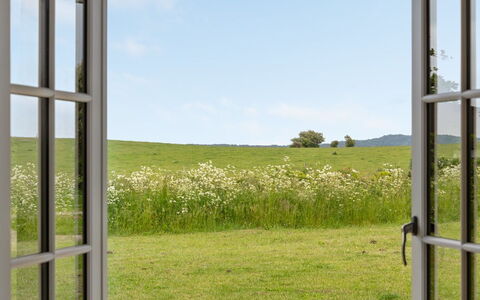 Siebelt - 200M from the Sea: Green, Grassland, Plain, Land Lot, Field, Prairie, Meadow, Pasture, Steppe
