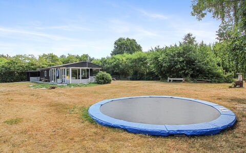 Eldina - 100M from the Sea: Tree, Grass, Trampoline, Trampolining--Equipment And Supplies, Landscape, Land Lot, Plain, Garden, Shade