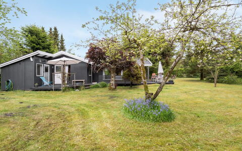 Syrina: Roof, House, Home, Cottage, Siding, Estate, Driveway, Garden Buildings, Yard, Shed