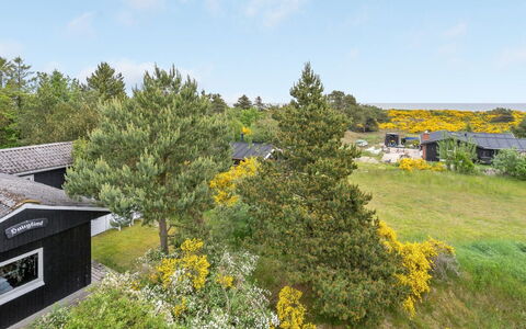 Jaskirt - 125M from the Sea: Green, Vegetation, Shrub, Plant Community, Land Lot, Groundcover, Garden, Meadow, Landscaping