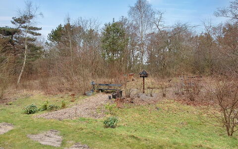 Enni - 100M from the Sea: Wood, Shrub, Land Lot, Plant Community, Trail, Soil, Woodland, Shrubland