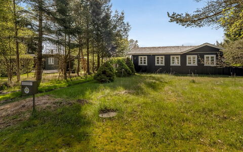 Ingobert - 50M from the Sea: Grass, Grassland, Landscape, Ecoregion, Plain, Plant Community, Land Lot, Outdoor Furniture, Prairie, Shrubland
