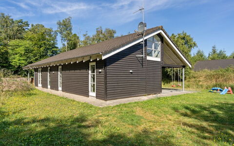 Kringfod - 590M from the Sea: Grass, Grassland, Landscape, Ecoregion, Plain, Plant Community, Land Lot, Outdoor Furniture, Prairie, Shrubland