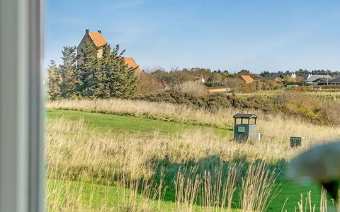 Aashild - 400M from the Sea: Green, Grass, Grassland, Shrub, Rural Area, Plain, Landscape, Land Lot, Prairie
