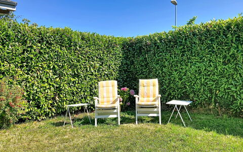 Dorenavant: Shrub, Hedge, Garden, Shade, Plantation, Herb, Evergreen