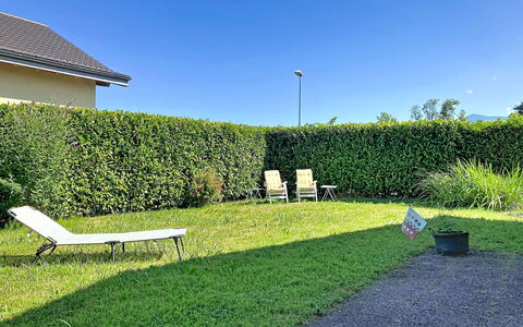 Dorenavant: Green, Grass, Shrub, Hedge, Garden, Shade, Groundcover, Lawn, Yard