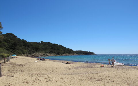 La Croix-Valmer 600: Water, Sky, Beach, Tree, Coastal And Oceanic Landforms, Cloud, Horizon, Landscape, Headland