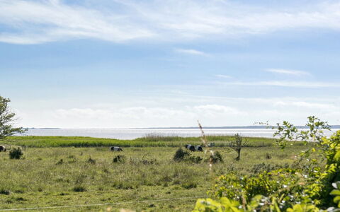 Bernadete - 50M to the Fjord: Sky, Blue, Daytime, Grass, Green, Horizon, Natural Environment, Cloud, Grassland, Vegetation