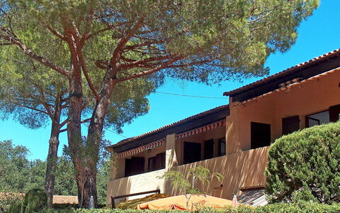 Gigaro Plage: Plant, Sky, Property, Window, Leaf, Tree, Shade, Building, Wood, Residential Area