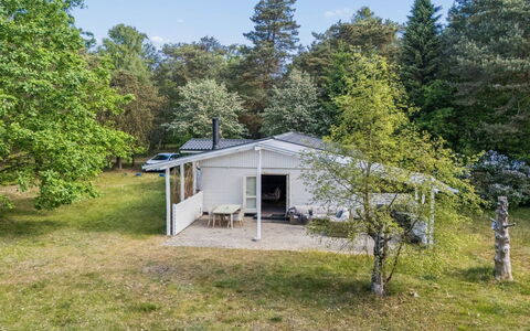 Rietrikki - 1.5Km from the Sea: Tree, Grass, House, Home, Cottage, Land Lot, Shrub, Roof, Rural Area